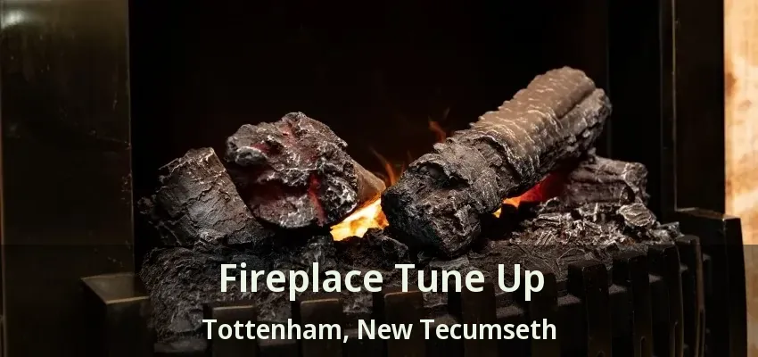 Fireplace Tune Up Tottenham, New Tecumseth - ON