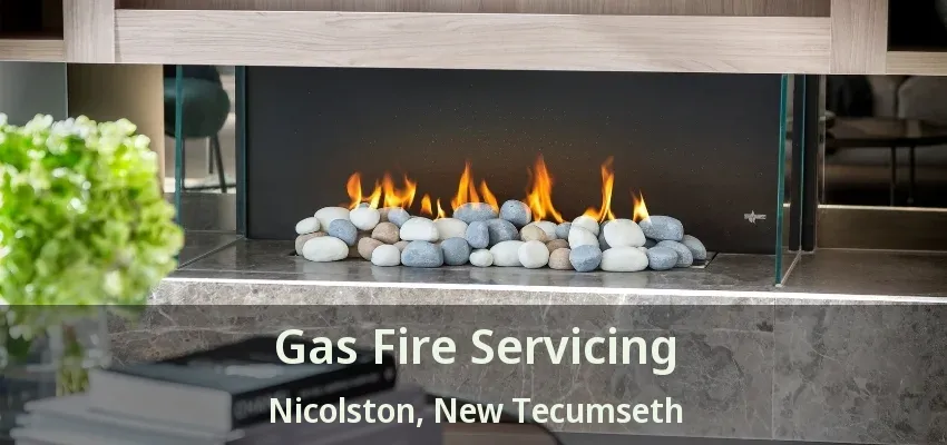 Gas Fire Servicing Nicolston, New Tecumseth - ON
