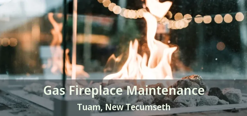 Gas Fireplace Maintenance Tuam, New Tecumseth - ON