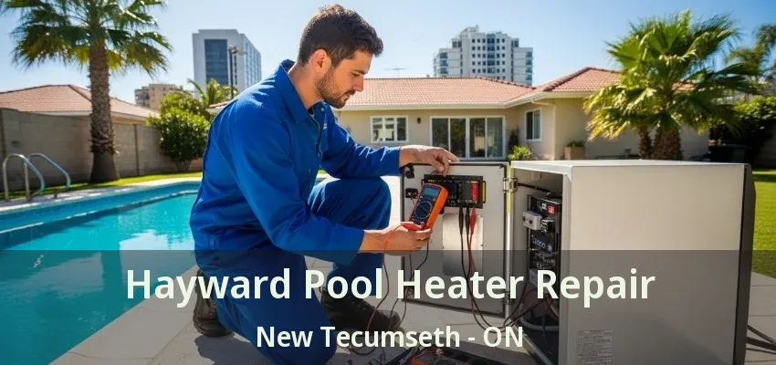 Hayward Pool Heater Repair New Tecumseth - ON