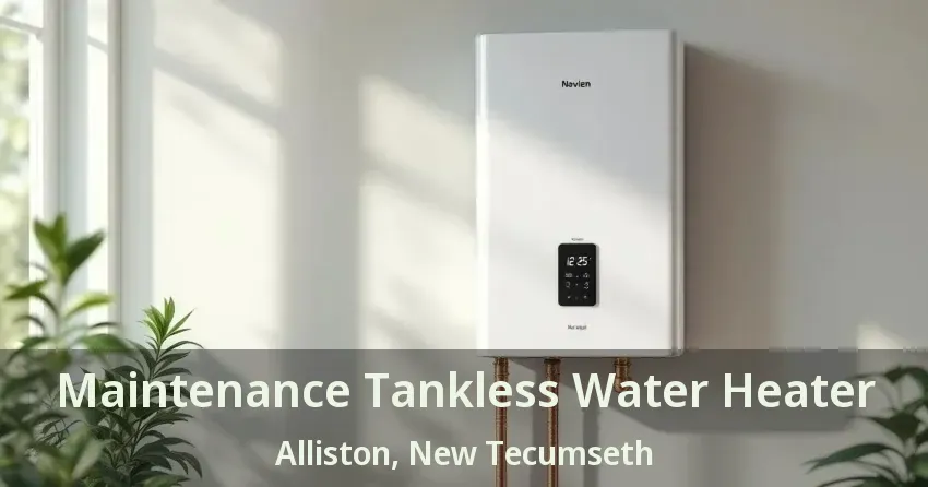 Maintenance Tankless Water Heater Alliston, New Tecumseth - ON
