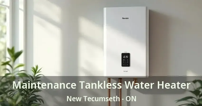 Maintenance Tankless Water Heater New Tecumseth - ON Maintenance Tankless Water Heater New Tecumseth - ON
