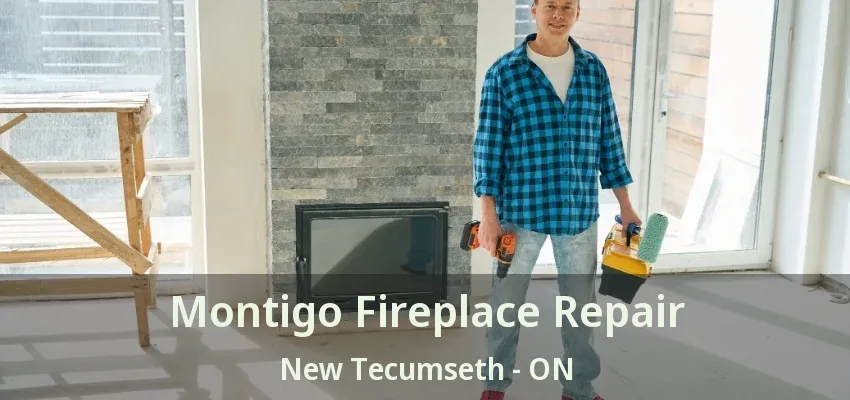 Montigo Fireplace Repair New Tecumseth - ON