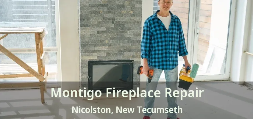 Montigo Fireplace Repair Nicolston, New Tecumseth - ON