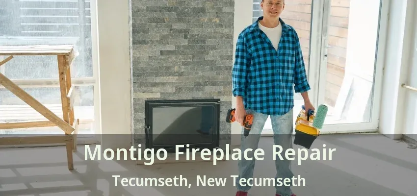 Montigo Fireplace Repair Tecumseth, New Tecumseth - ON
