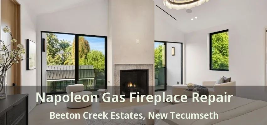 Napoleon Gas Fireplace Repair Beeton Creek Estates, New Tecumseth - ON Napoleon Gas Fireplace Repair Beeton Creek Estates, New Tecumseth - ON