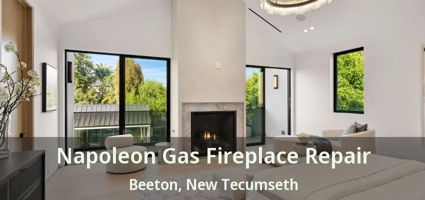 Napoleon Gas Fireplace Repair Beeton, New Tecumseth - ON