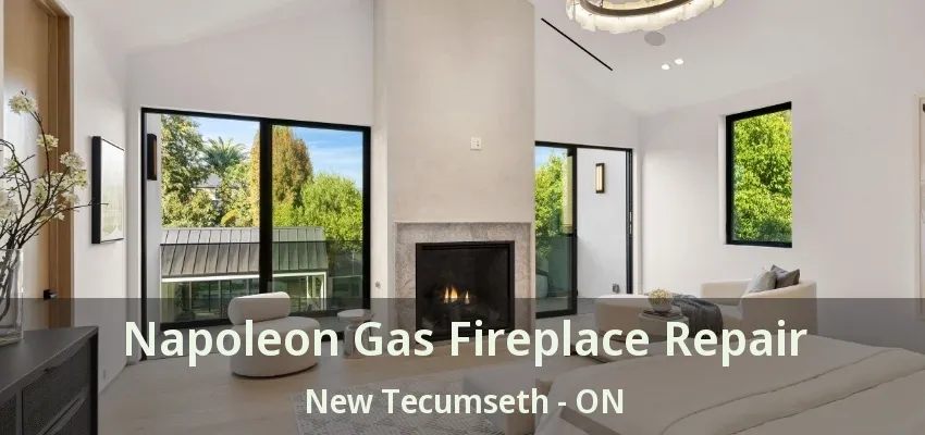 Napoleon Gas Fireplace Repair New Tecumseth - ON