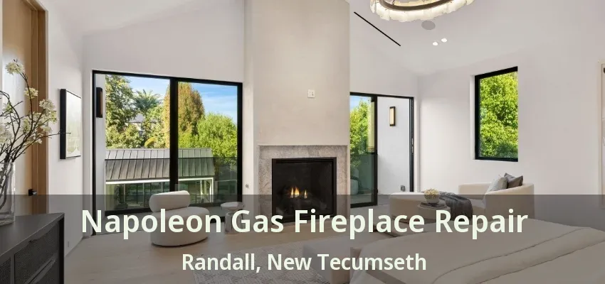 Napoleon Gas Fireplace Repair Randall, New Tecumseth - ON