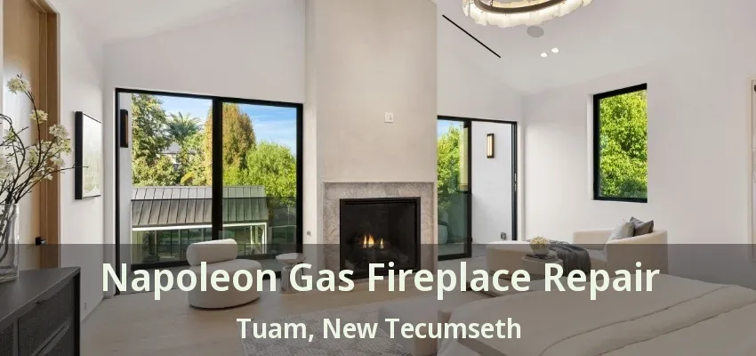 Napoleon Gas Fireplace Repair Tuam, New Tecumseth - ON