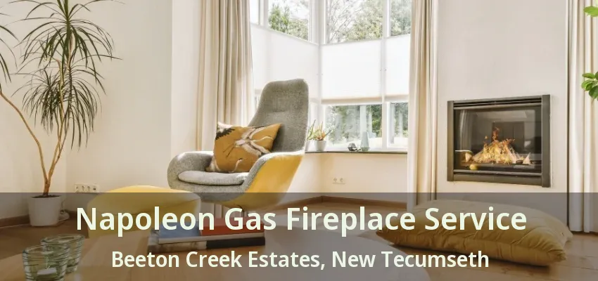 Napoleon Gas Fireplace Service Beeton Creek Estates, New Tecumseth - ON Napoleon Gas Fireplace Service Beeton Creek Estates, New Tecumseth - ON