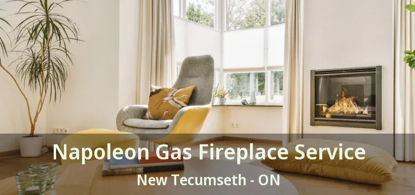 Napoleon Gas Fireplace Service New Tecumseth - ON Napoleon Gas Fireplace Service New Tecumseth - ON