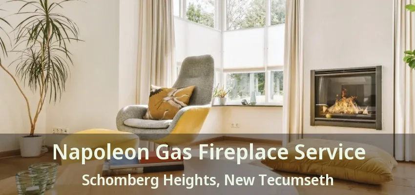Napoleon Gas Fireplace Service Schomberg Heights, New Tecumseth - ON Napoleon Gas Fireplace Service Schomberg Heights, New Tecumseth - ON