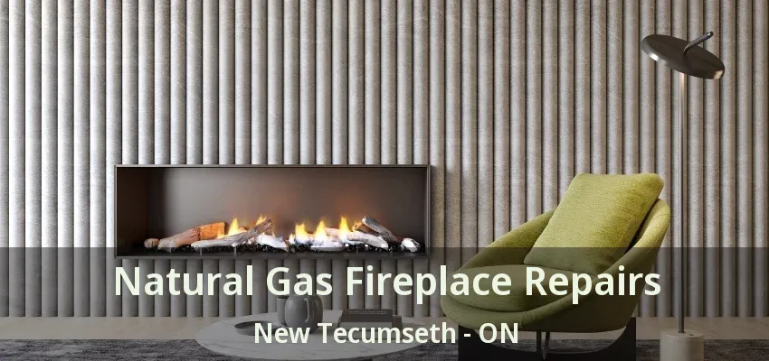 Natural Gas Fireplace Repairs New Tecumseth - ON