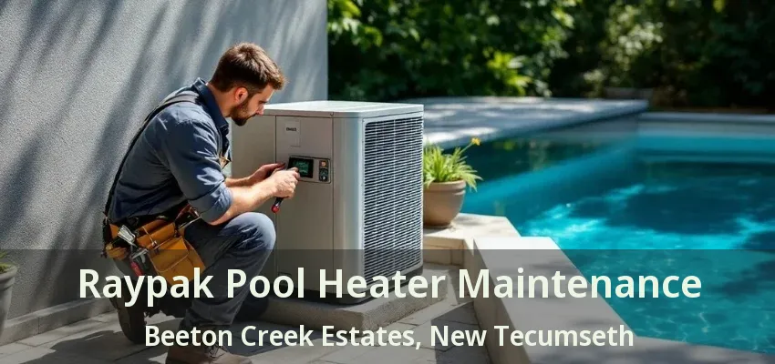 Raypak Pool Heater Maintenance Beeton Creek Estates, New Tecumseth - ON