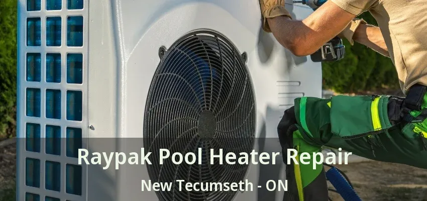 Raypak Pool Heater Repair New Tecumseth - ON