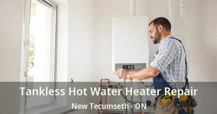 Tankless Hot Water Heater Repair New Tecumseth - ON