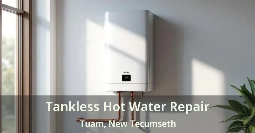 Tankless Hot Water Repair Tuam, New Tecumseth - ON