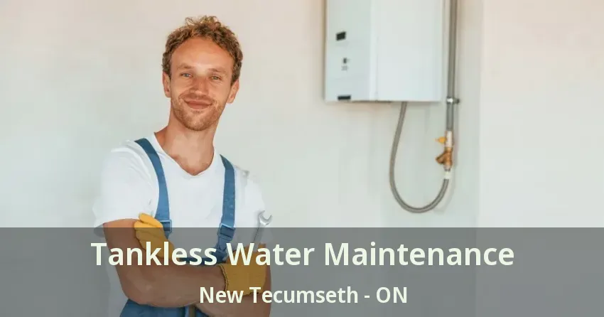 Tankless Water Maintenance New Tecumseth - ON Tankless Water Maintenance New Tecumseth - ON