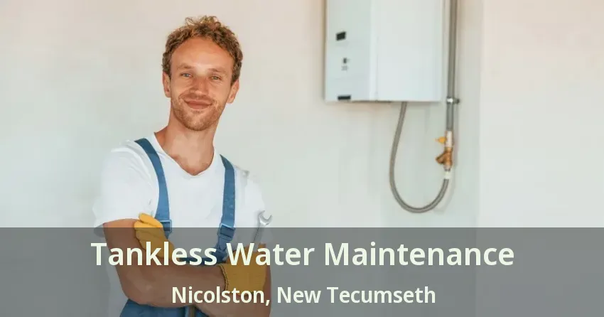 Tankless Water Maintenance Nicolston, New Tecumseth - ON Tankless Water Maintenance Nicolston, New Tecumseth - ON