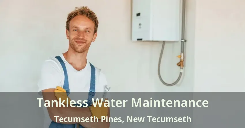 Tankless Water Maintenance Tecumseth Pines, New Tecumseth - ON