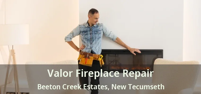 Valor Fireplace Repair Beeton Creek Estates, New Tecumseth - ON